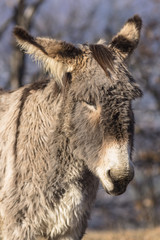 Anes dans le massif de Belledonne.