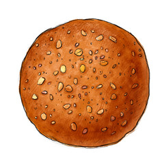 Bun illustration, drawing, watercolour, paint