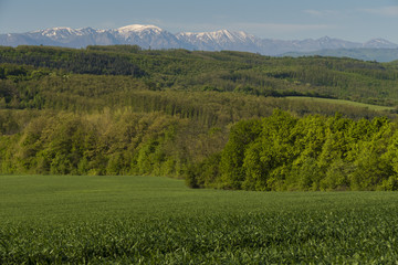 Spring panorama