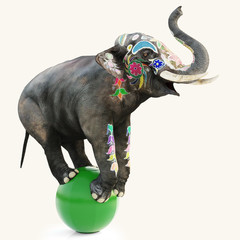 Naklejka premium Colorful decorated artistic circus elephant doing a balancing act on a green ball with a isolated white background. 3d rendering illustration