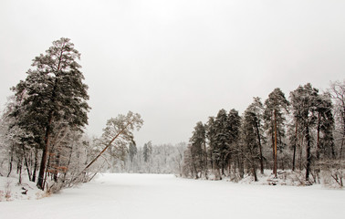 Winter landscape in Ukraine, Kiev, february