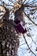 Birdhouse on a tree