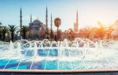 Sultan Ahmed Mosque Illuminated. Istanbul, Turkey