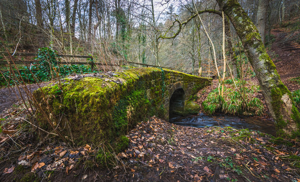 Mossy stone bridge
