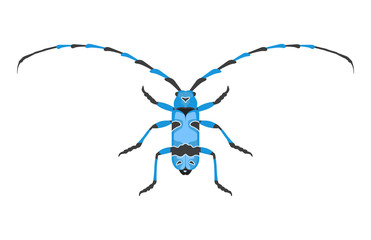 Insect icon flat isolated vector illustration.