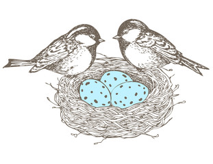 Birds, flowers, nest, eggs, 