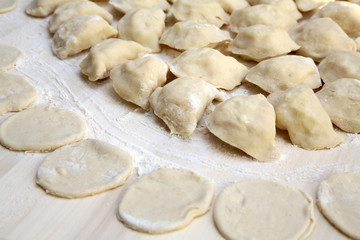 Homemade dumplings.