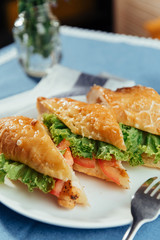 Healthy sandwich cut into pieces to show tasty ingredients salam