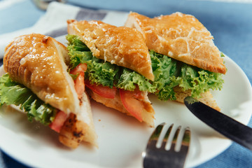 Healthy sandwich cut into pieces to show tasty ingredients salam