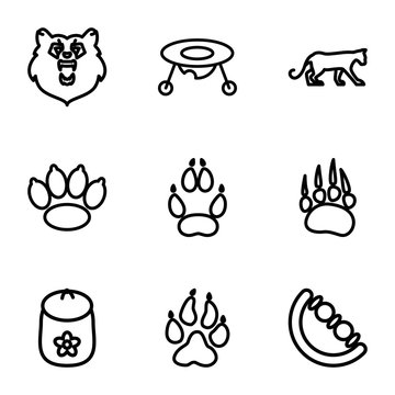 Set of 9 bear outline icons