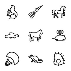 Set of 9 tail outline icons