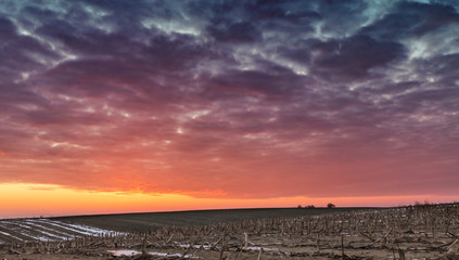 Colorful Sunrise Clouds over Hilly Farming Fields at Winter