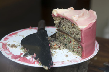 a piece of almond-walnut cake in a pink fudge is on a plate