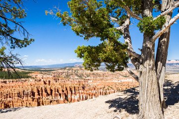 Bryce Canyon, Inspiration Point,  UT, USA