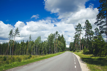 Naklejka premium Empty asphalt road through fields and forest in Estonia.