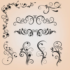 Floral calligraphic elements