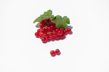 red currant with leaves on a white background in high quality