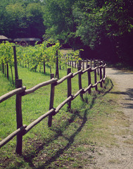 Wooden fence along the road
