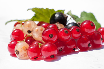 red currant with leaves on a white background in high quality