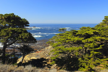 Fototapeta premium Nature