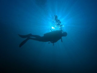 Diver in blue horizontal / underwater shot, Red Sea