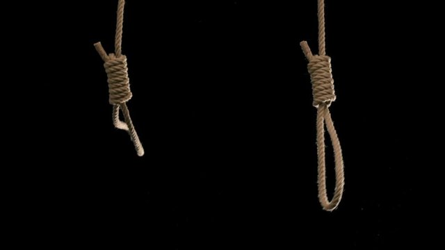 Two nooses falling into frame against neutral black backdrop