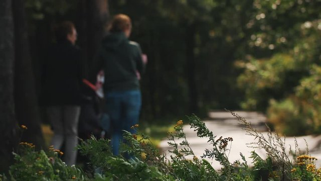 Shot of girls couple walking with child and baby carriage along an asphalt road in forest with wildflowers swinging on wind on foreground