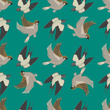 Different flying birds seamless pattern vector illustration. © Vectorwonderland
