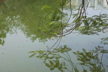 Hoan Kiem Lake, Ha Noi, Vietnam