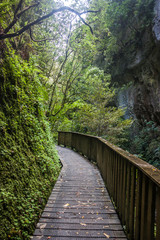 Wooden Bridge in  Waitomo, New Zealand.