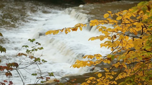 Loop features the splashing whitewater of an Ohio waterfall viewed through colorful autumn leaves.