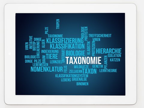Taxonomie