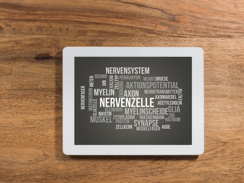 Nervenzelle