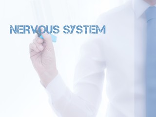 Nervous system