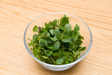 ハーブ　ペパーミント
