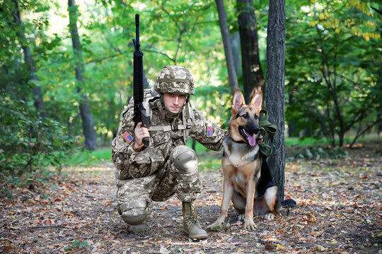 Soldier with military working dog in forest