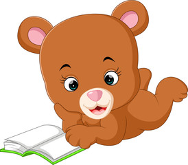 cute bear reading book cartoon