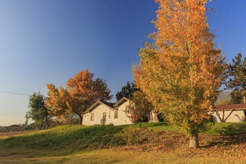 Beautiful fall color over Oak Glen area