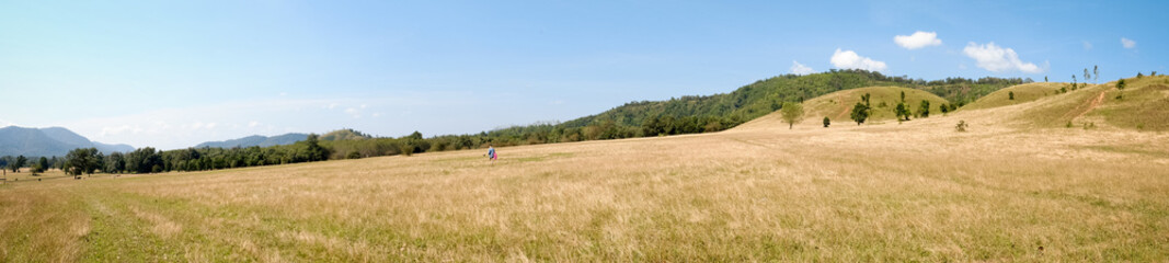 Obraz premium panorama view, A girl walk on green meadow in the mountain are under the blue sky