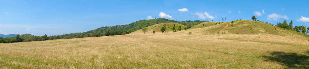 Fototapeta na wymiar panorama view,Green meadow in the mountain are under the blue sky