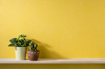 黄色い壁と棚のある部屋