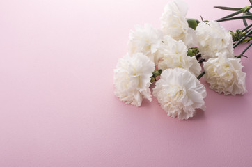 カーネーション