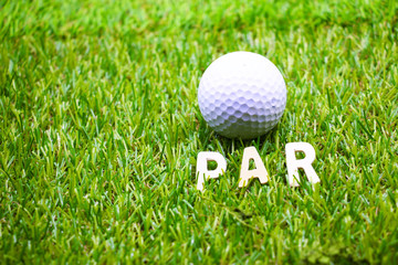 golf ball with wording PAR