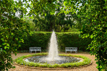 fountain among the trees