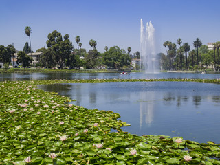 Obraz premium The beautiful Echo Park Lake