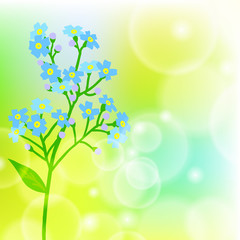 Card with forget me not flower on sun light