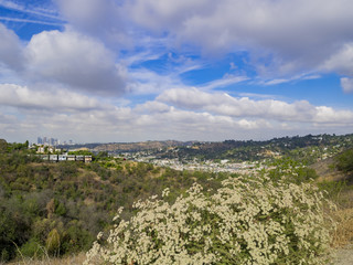 Fototapeta na wymiar Los Angeles downtown skyline