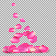 Abstract background with realistic flying pink rose petals on a white transparentt background. Vector illustration. EPS 10.