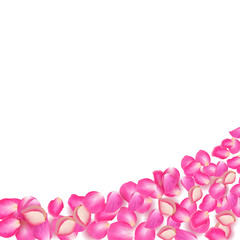Gone with the Wind rose petals. Realistic vector pink petals on transparent background.