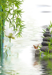 composition aquatique, lotus, bambous, papillon, galets 